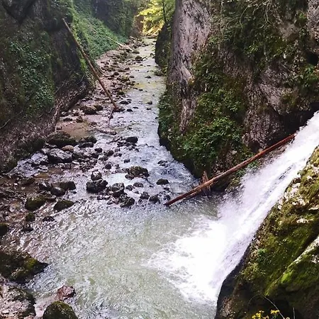 Casa Pescarului Apuseni Sohodol (Alba)