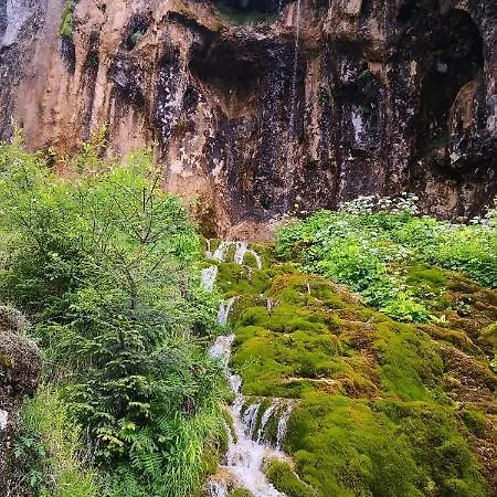 Casa Pescarului Apuseni * Sohodol (Alba)