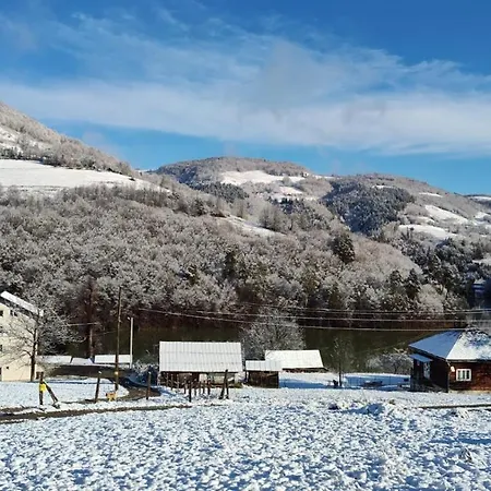 Pensiune Casa Pescarului Apuseni *